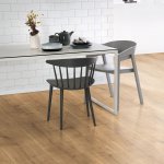 application;Kitchen;chair;window;table;flower;cup