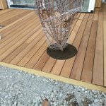IMG-20191128-WA0003