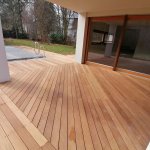 Iroko (2)