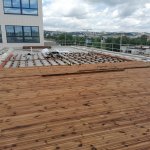 Treated Pine - bubenska1