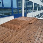 Treated Pine3