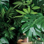 PAN-glam-jungle-3,5mm-still-life-001