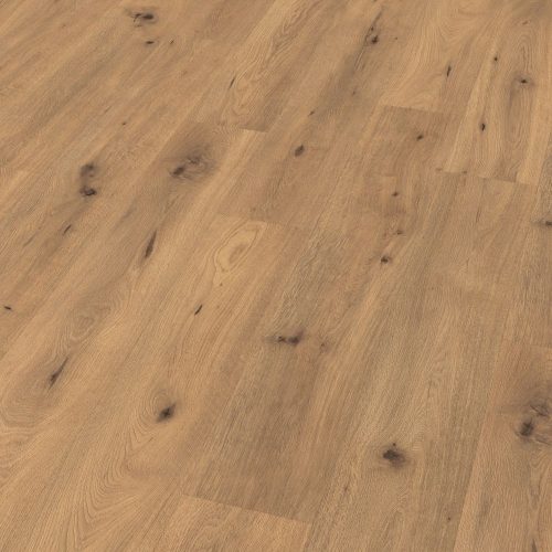 edf200-std8-classic-wv4-perspective-10de-flo.jpg