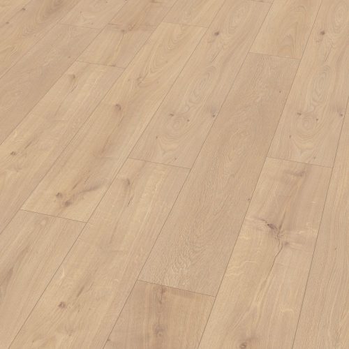 el2138-st55-classic-wv4-perspective-10de-flo.jpg