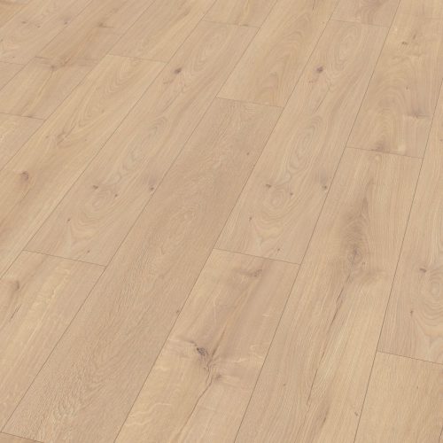 el2139-st55-classic-wv4-perspective-10de-flo.jpg