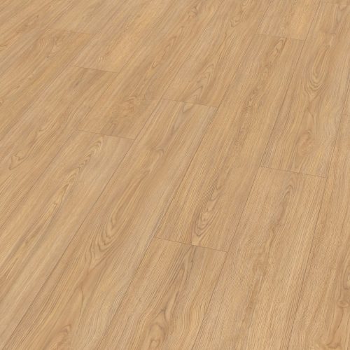 el2152-st61-classic-wv4-perspective-10de-flo.jpg