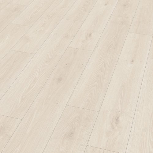 el2180-st55-classic-wv4-perspective-10de-flo.jpg