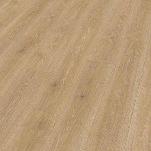 el2181-st55-classic-wv4-perspective-10de-flo.jpg