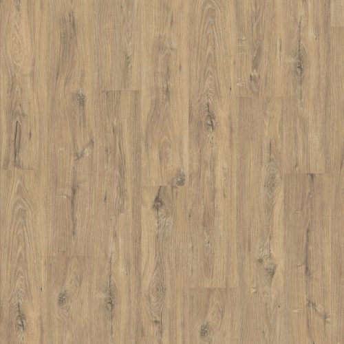 EPL018_ST51_classic_frontal_10DE_flo