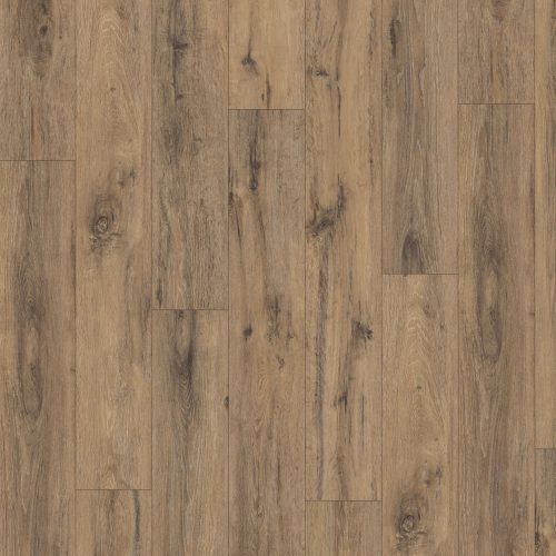 EPL019_F1_classic_wv4_frontal_10DE_flo