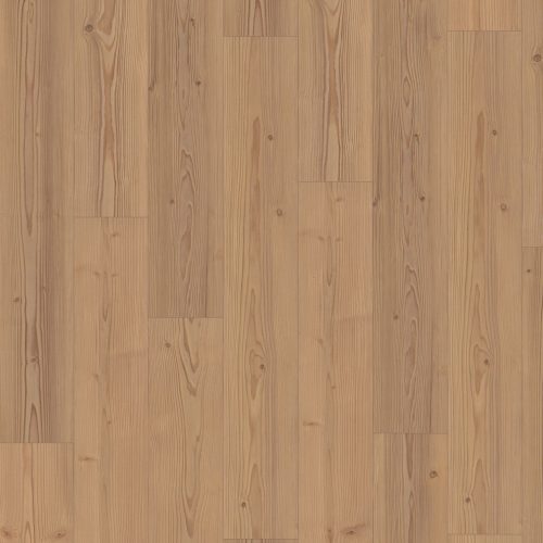 EPL031_F3_classic_wv4_frontal_10DE_flo