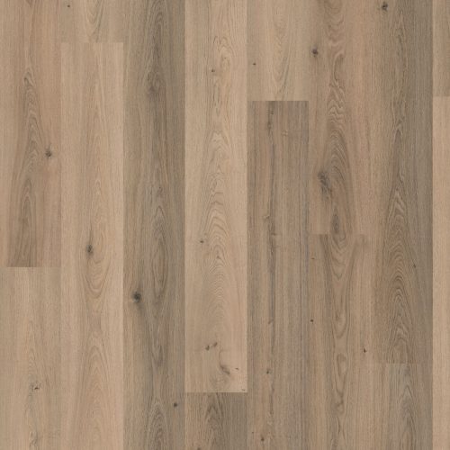 EPL037_F1_classic_frontal_10DE_flo