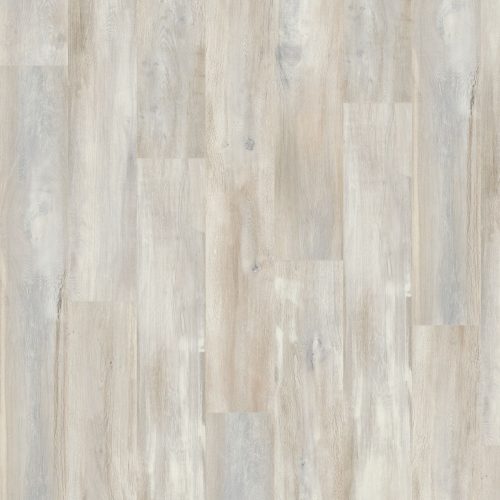 EPL064_F1_classic_wv4_frontal_10DE_flo
