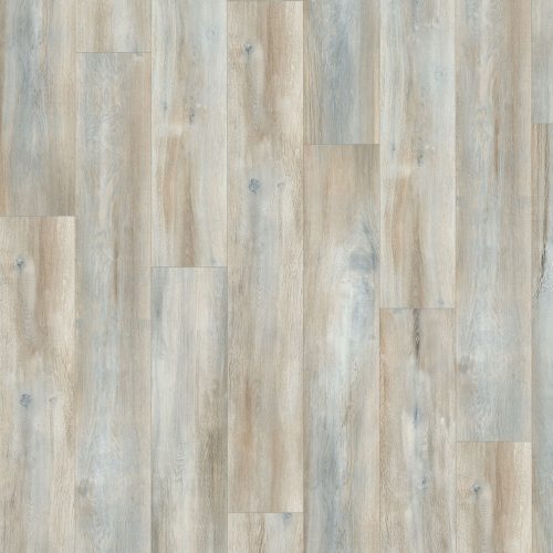 EPL068_F1_classic_wv4_frontal_10DE_flo