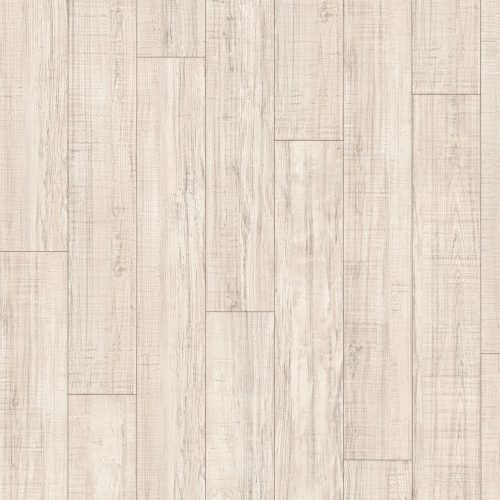 EPL085_F1_classic_wv4_frontal_10DE_flo