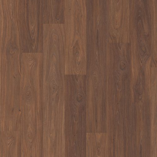 EPL091_ST51_classic_frontal_10DE_flo