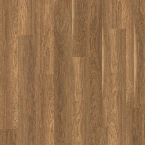 EPL109_ST54_classic_frontal_10DE_flo