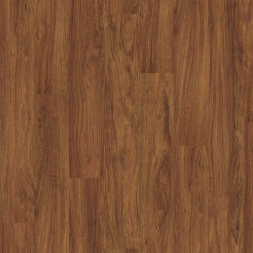 EPL174_STF1_Classic_frontal_10DE_flo