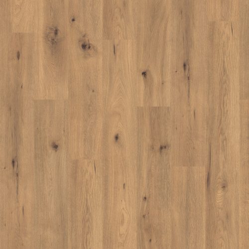 EPL182_ST41_Classic_frontal_10DE_flo