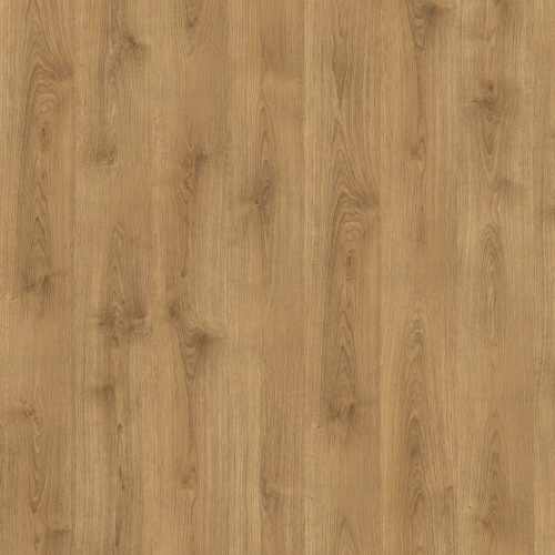 EPL208_ST54_Classic_frontal_10DE_flo.tif