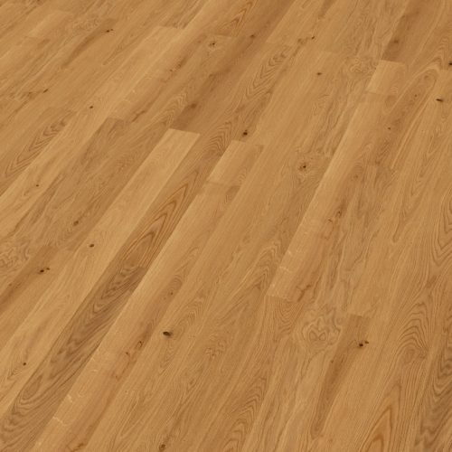 orig_4555.jpg