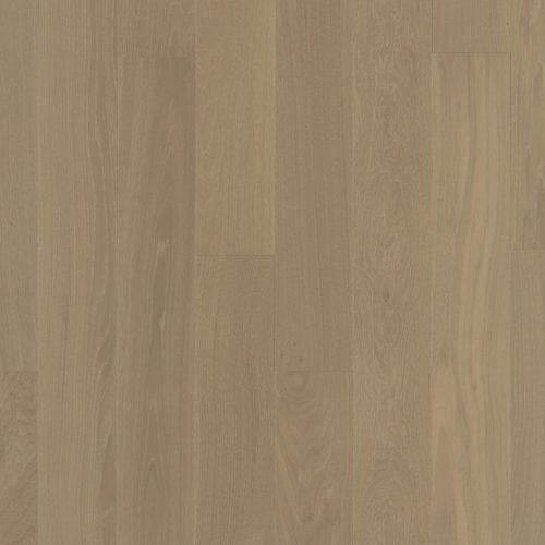 Silk-Pur-01-PSH